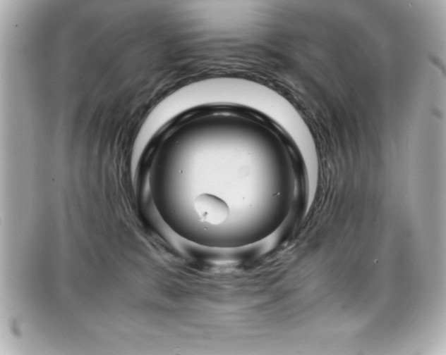 X0000099470327200805091552