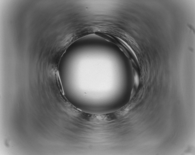 X0000099470329200805091552