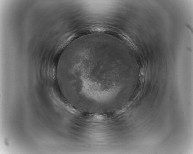 X0000099470330200805091552