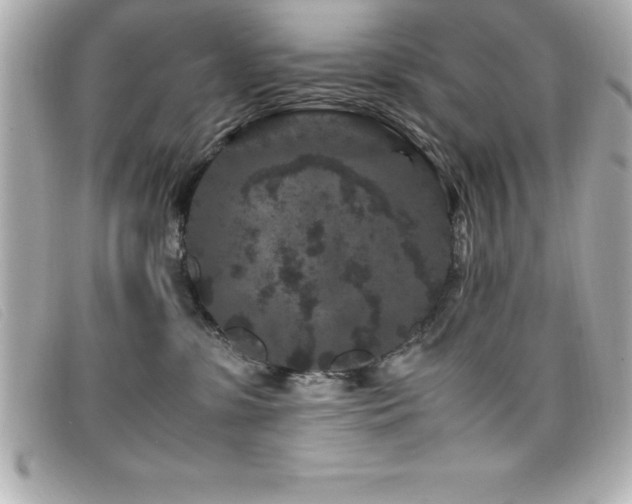X0000099470331200805091552