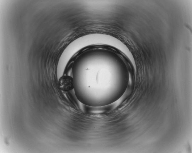 X0000099470332200805091552