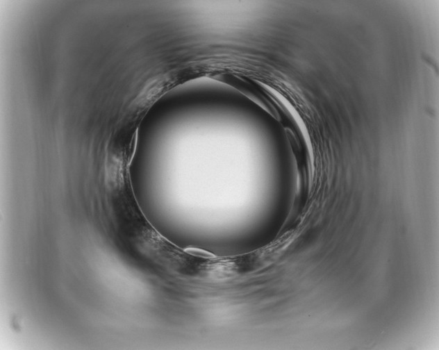 X0000099470333200805091552