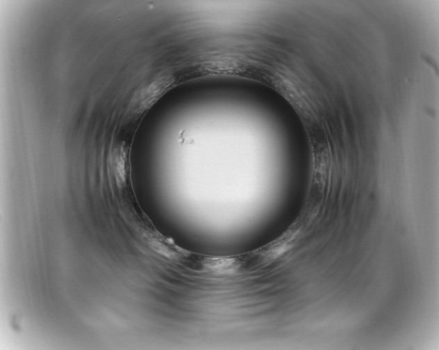 X0000099470334200805091552