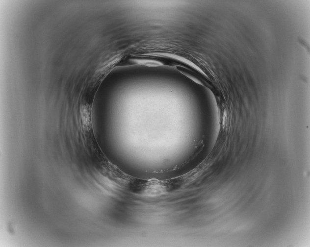 X0000099470335200805091552