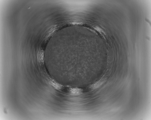 X0000099470336200805091552