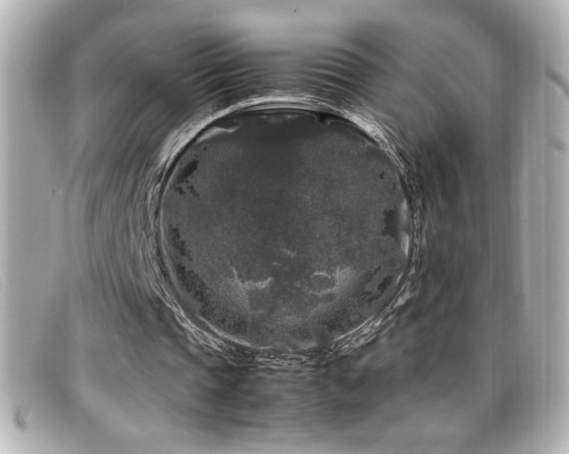 X0000099470337200805091552