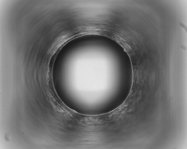 X0000099470338200805091552