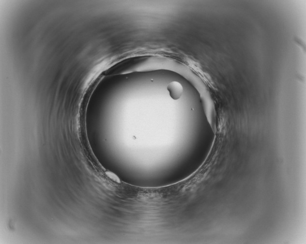 X0000099470340200805091552