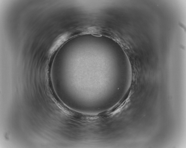 X0000099470341200805091552