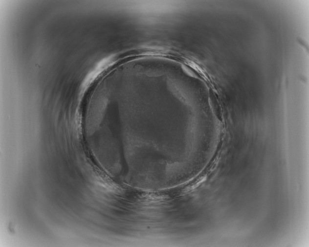 X0000099470343200805091552