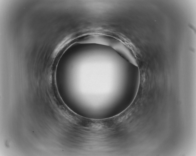 X0000099470344200805091552
