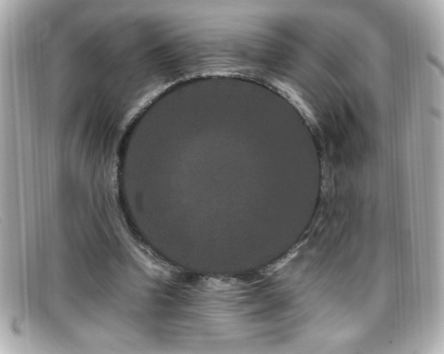X0000099470346200805091552
