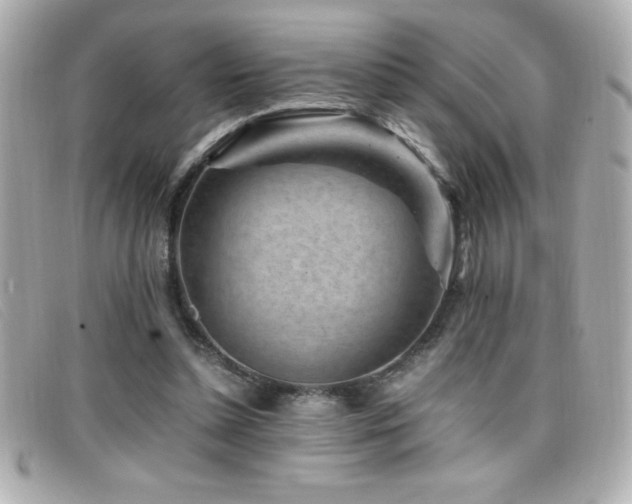 X0000099470348200805091552