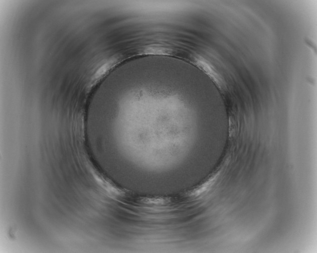 X0000099470349200805091552