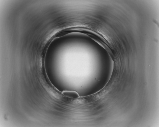 X0000099470350200805091552
