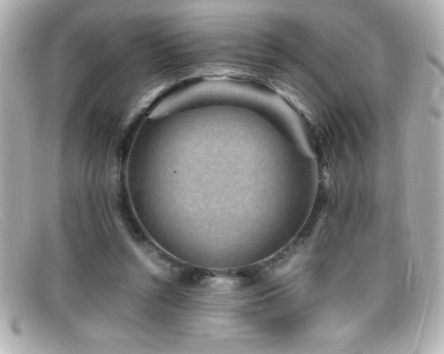 X0000099470352200805091552