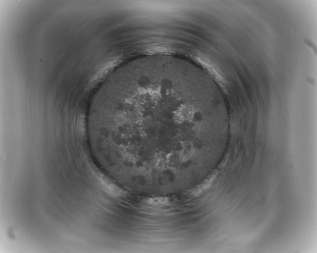 X0000099470353200805091552