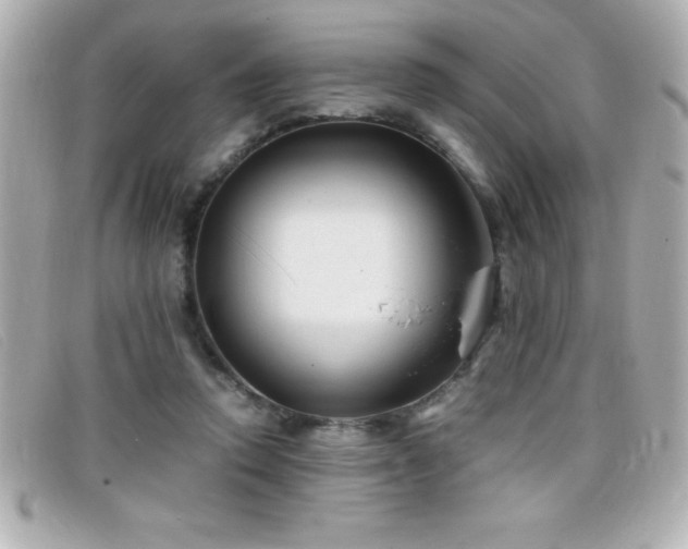 X0000099470354200805091552