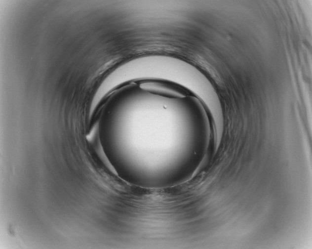 X0000099470356200805091552