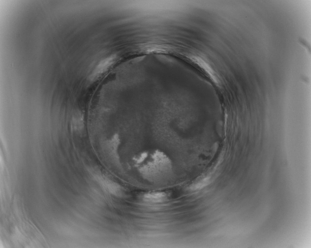 X0000099470357200805091552