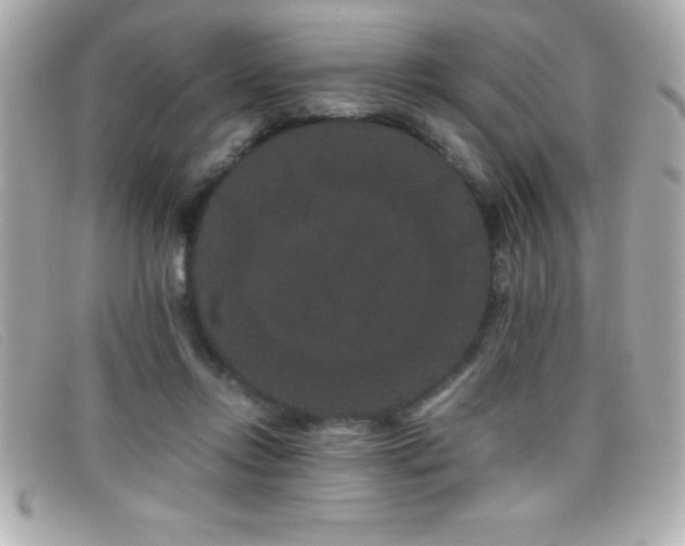 X0000099470358200805091552
