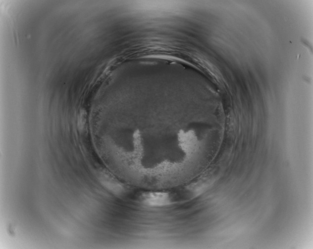 X0000099470361200805091552