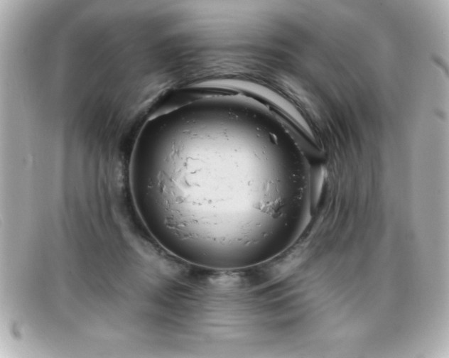 X0000099470362200805091552