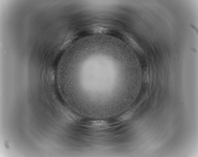 X0000099470363200805091552