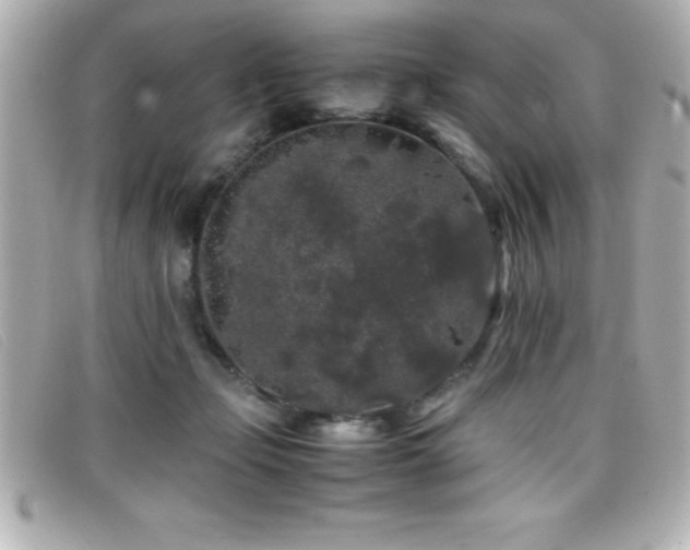 X0000099470365200805091552