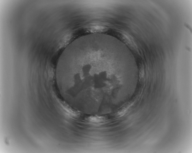 X0000099470367200805091552