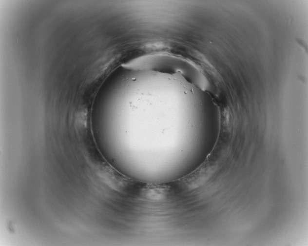 X0000099470368200805091552