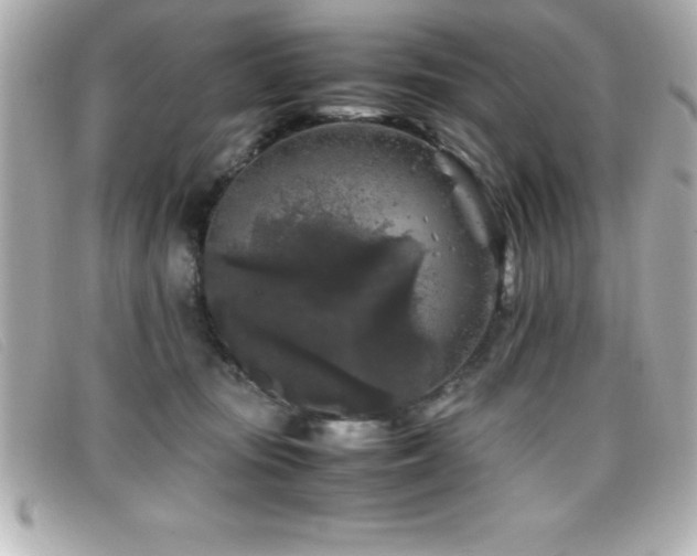X0000099470371200805091552