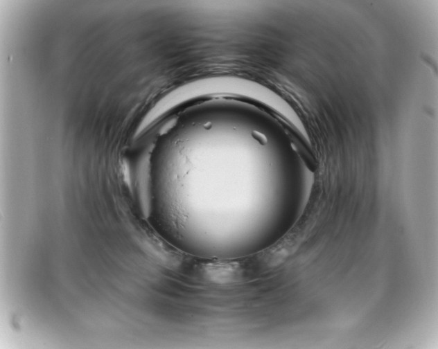 X0000099470373200805091552