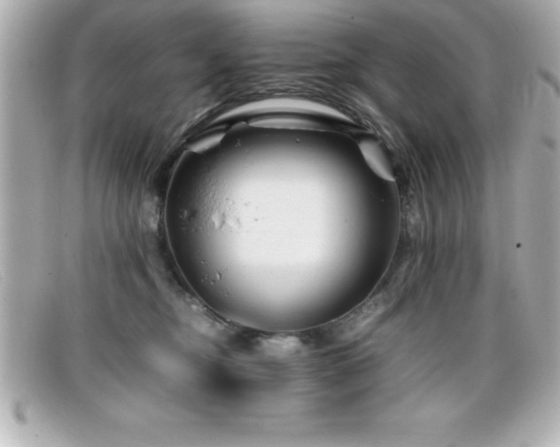 X0000099470374200805091552
