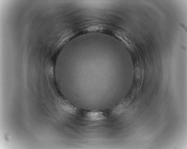 X0000099470375200805091552