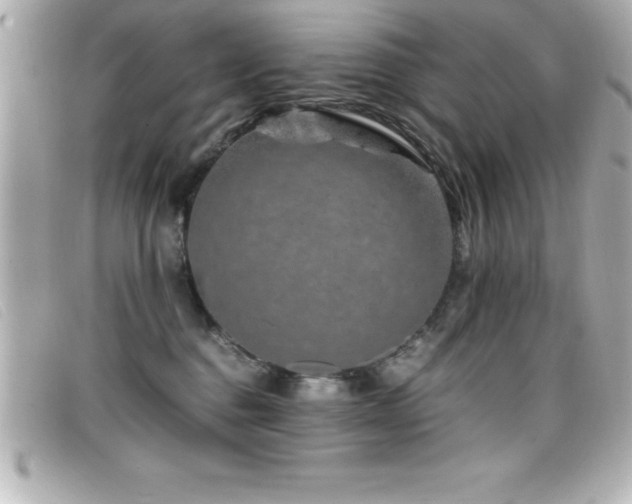 X0000099470376200805091552