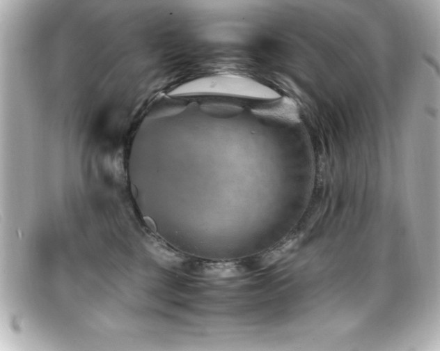 X0000099470377200805091552
