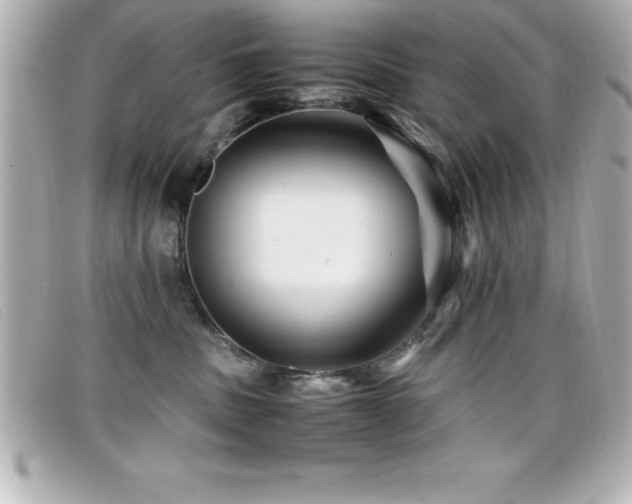X0000099470379200805091552