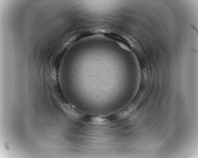 X0000099470380200805091552