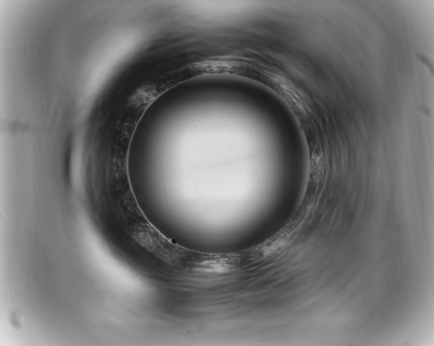X0000099470381200805091552