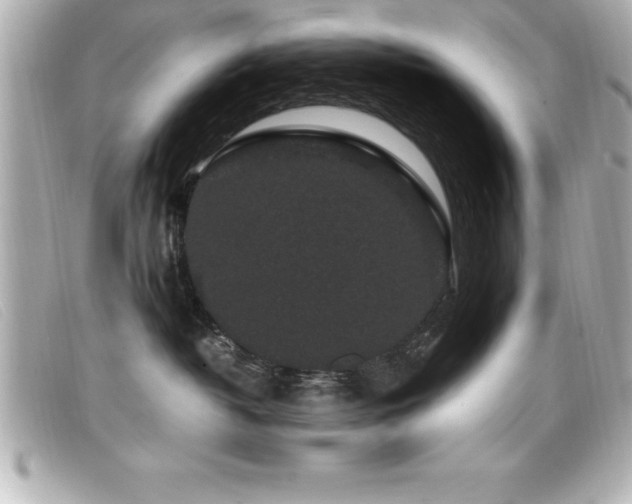 X0000099470382200805091552