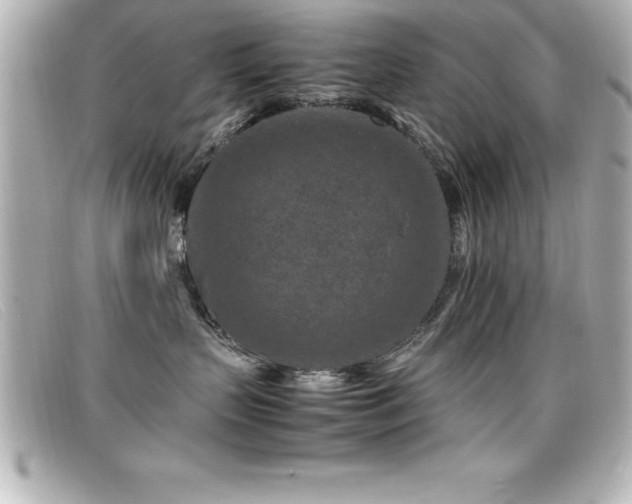 X0000099470383200805091552
