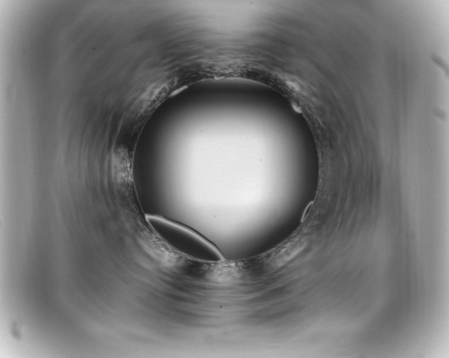 X0000099470384200805091552