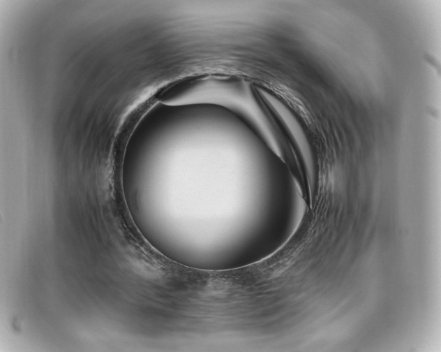 X0000099470388200805091552