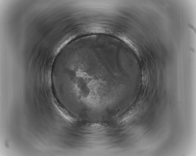X0000099470390200805091552