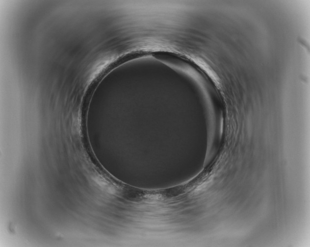 X0000099470391200805091552