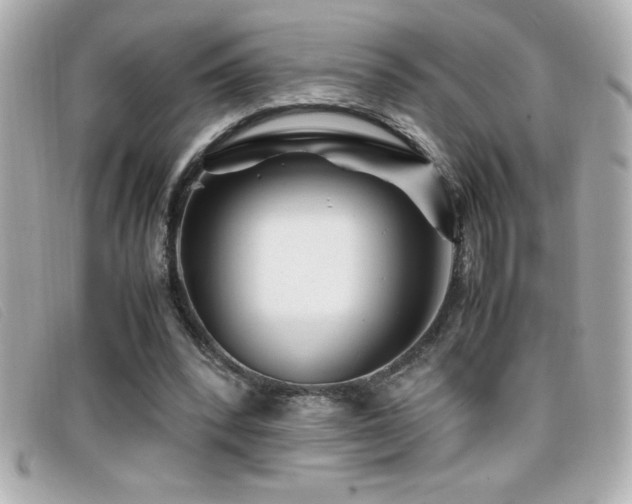X0000099470392200805091551