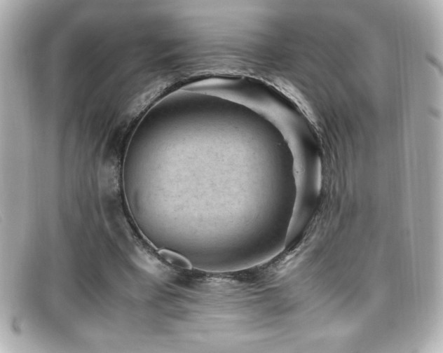X0000099470393200805091551