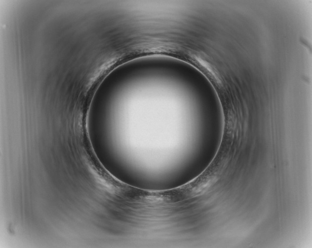 X0000099470394200805091551