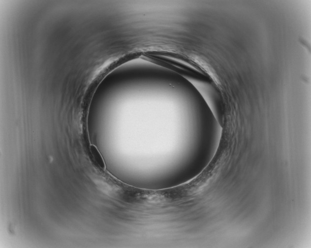 X0000099470395200805091551